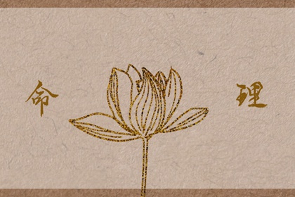卦占卜免费测算 推八字算命 十神排盘 八字算感情 辉命理测算